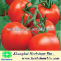 Chinese HS-Outerui606 F1 Hybrid Tomato seeds